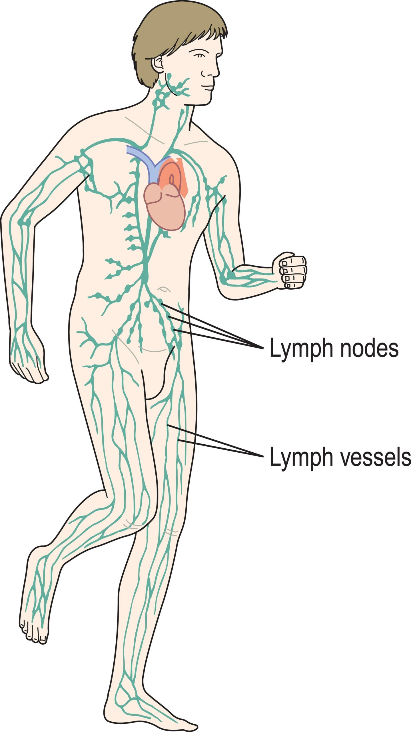 lymfedraenage-massage